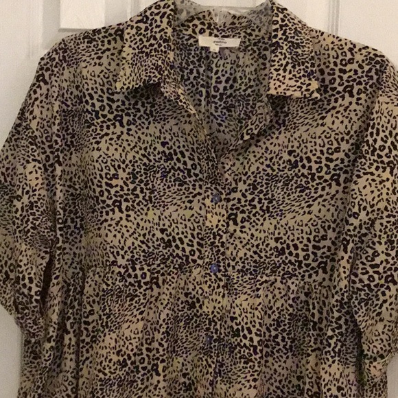 Entro - Picture 2 of 5